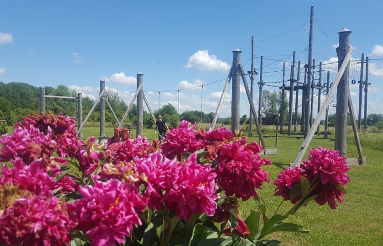 location-hochseilgarten