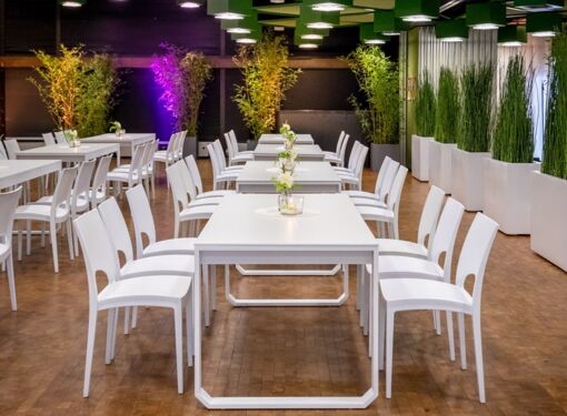 pflanzen-fuer-event-mieten