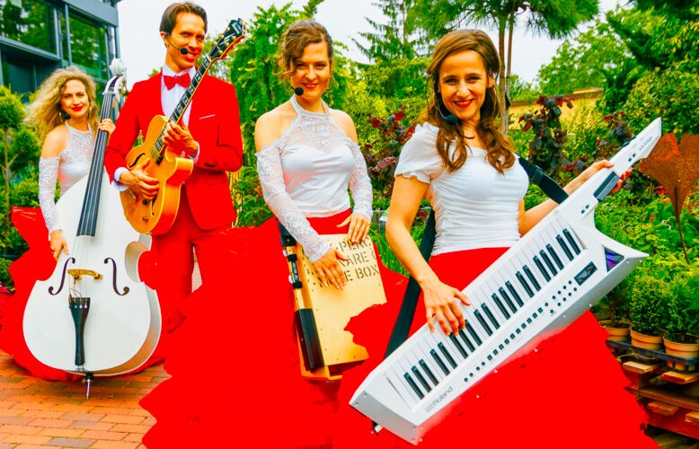 Partyband-buchen-Frankfurt